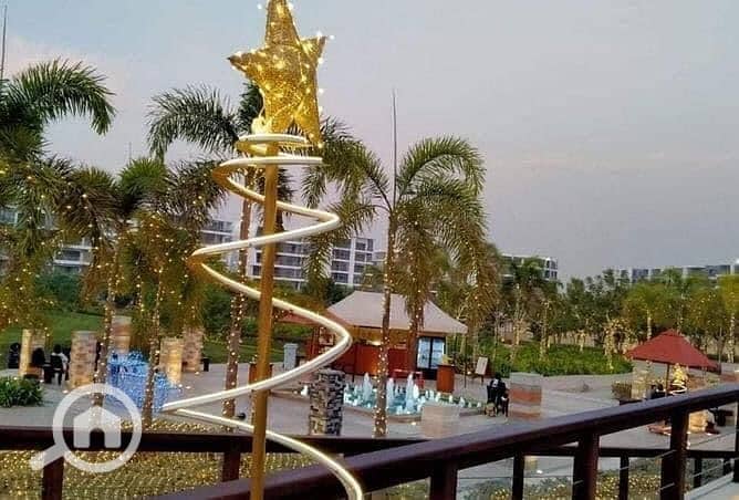 3 CA65F55F-5513-4D7D-9F4F-168EE57C5442. jpeg