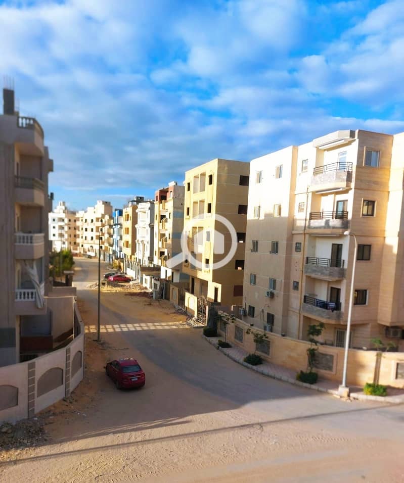 5 b576c81b-09e7-4cec-8bc7-f5f5be631fc1. jpg