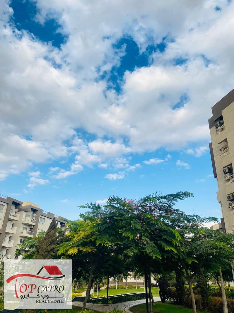 13 IMG-20251106-WA0267 - Copy. jpg