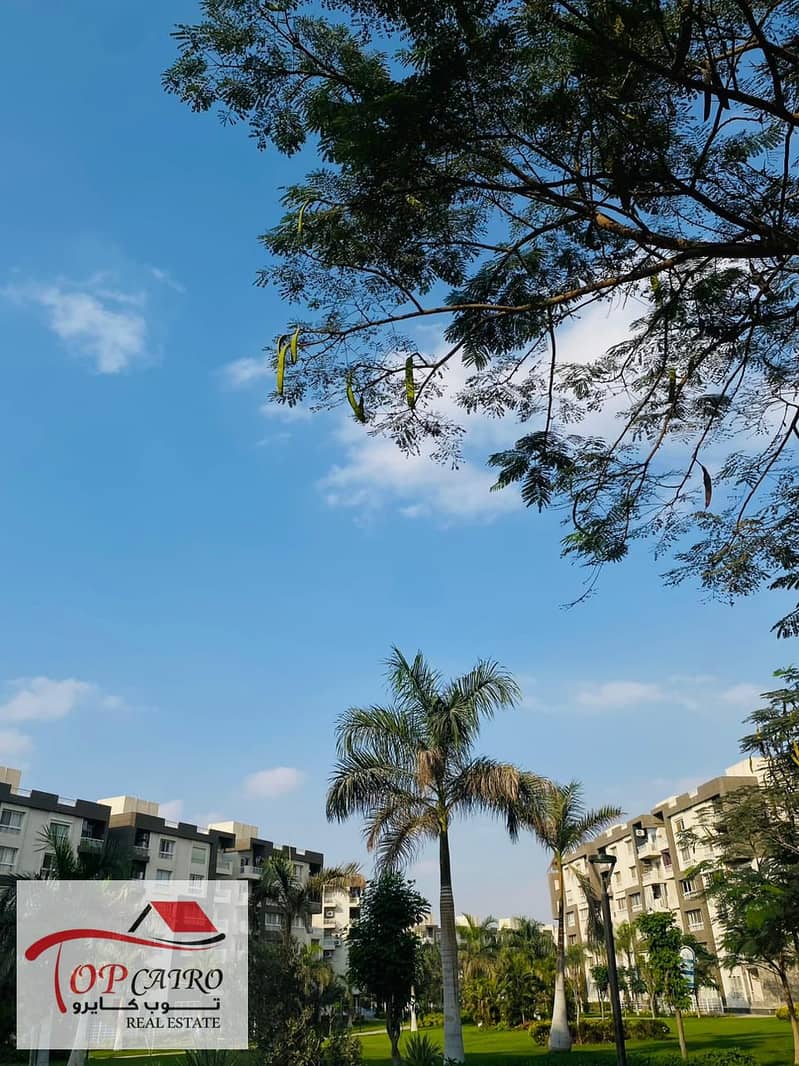 15 IMG-20251111-WA0319 - Copy. jpg