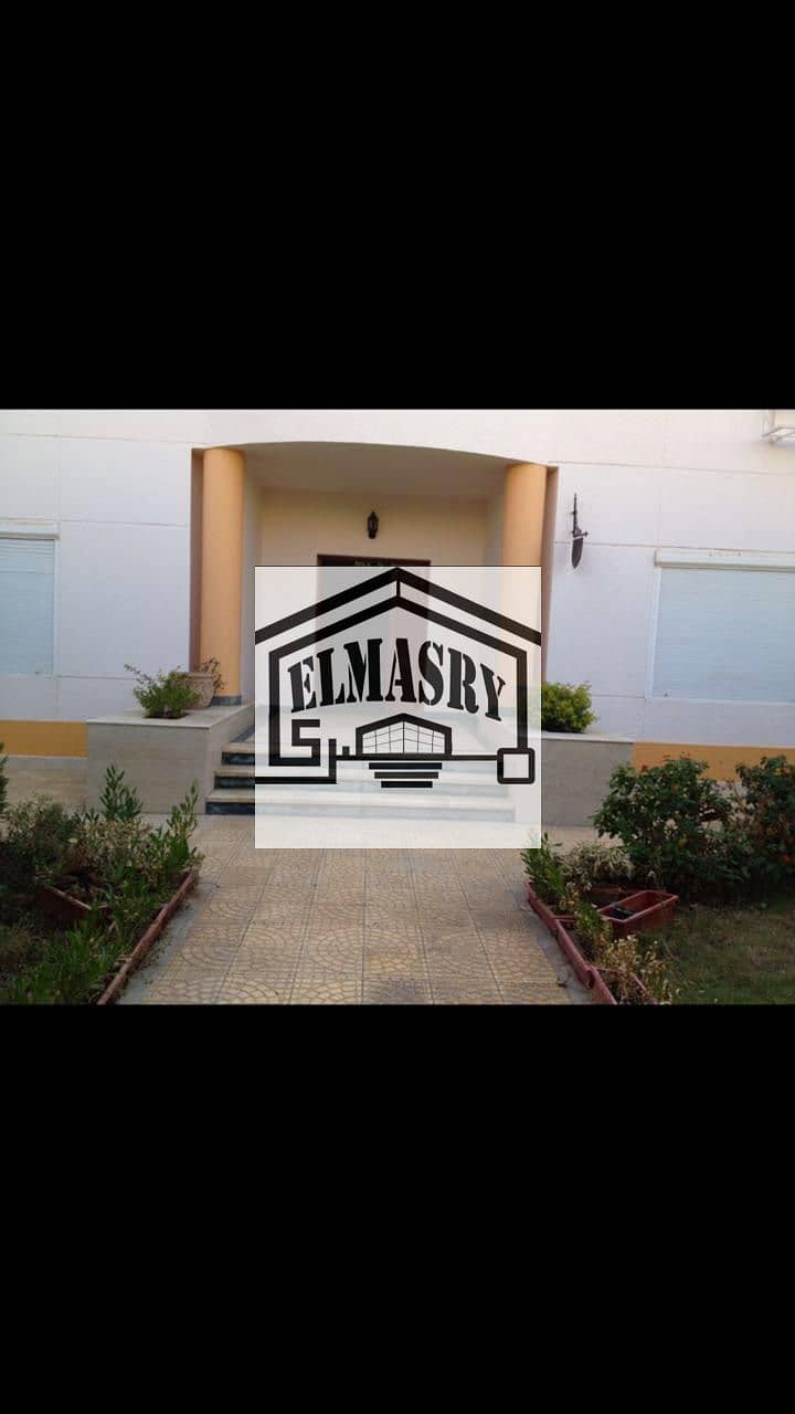 4 249a3885-d93d-4012-9246-ff8afd23dd4f. jpg