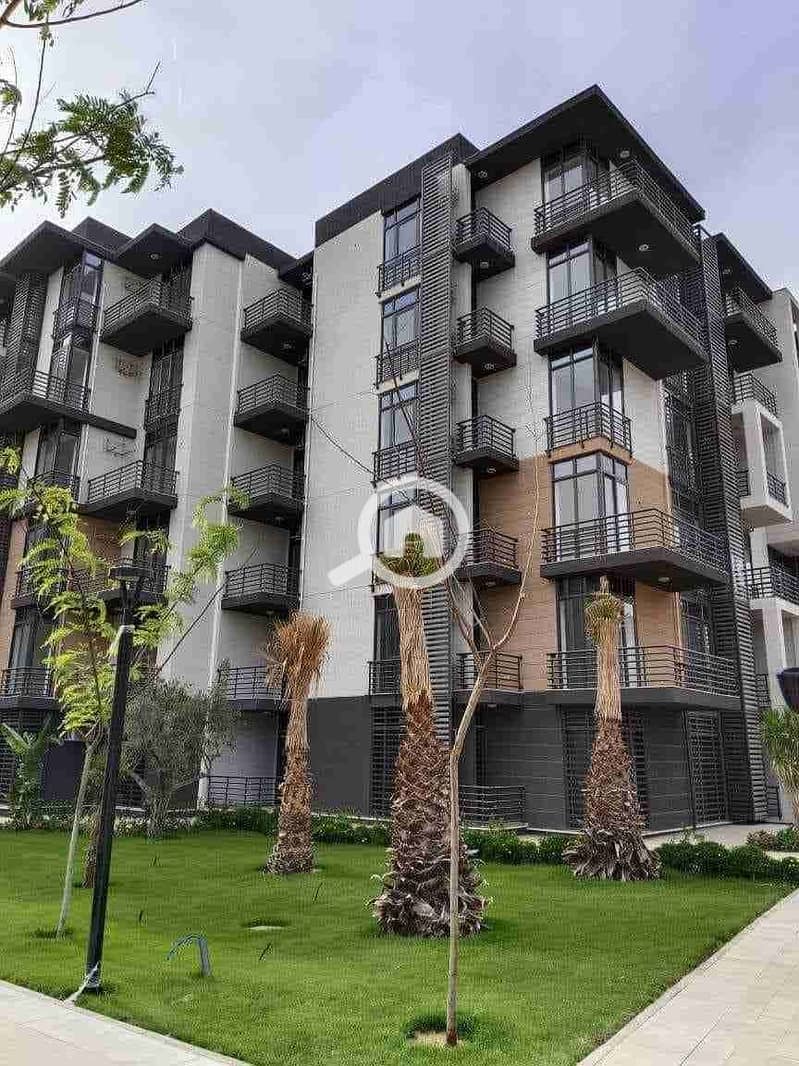 5 FB_IMG_1725215808693. jpg