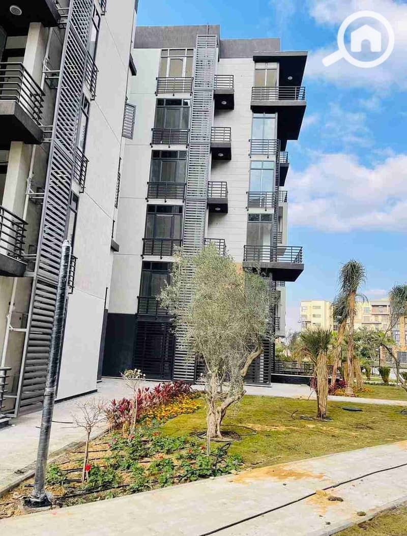 6 FB_IMG_1698162026426. jpg