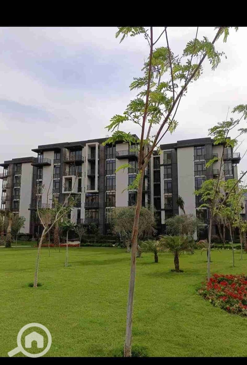 8 FB_IMG_1695391197936. jpg