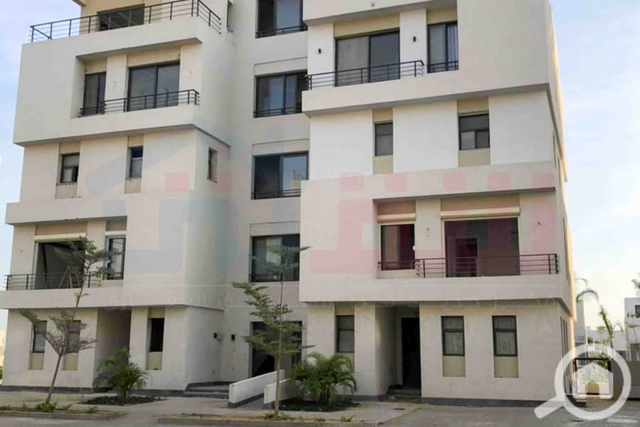 4 WhatsApp Image 2025-12-29 at 13.06. 01 (1). jpg