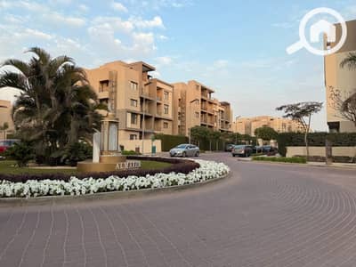 بنتهاوس 3 غرف نوم للايجار في القاهرة الجديدة، القاهرة - WhatsApp Image 2025-03-25 at 6.14. 18 PM (12). jpeg