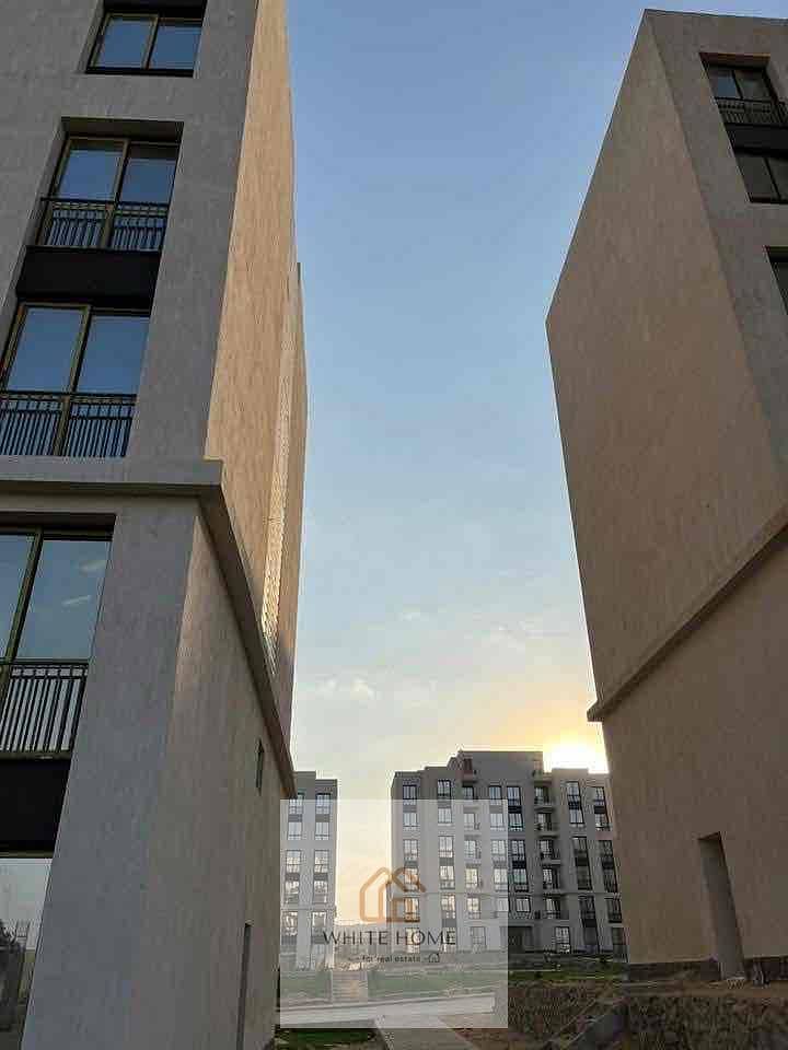 3 e77fd4df-757c-42ef-970e-5d85ee62e46b. jpg