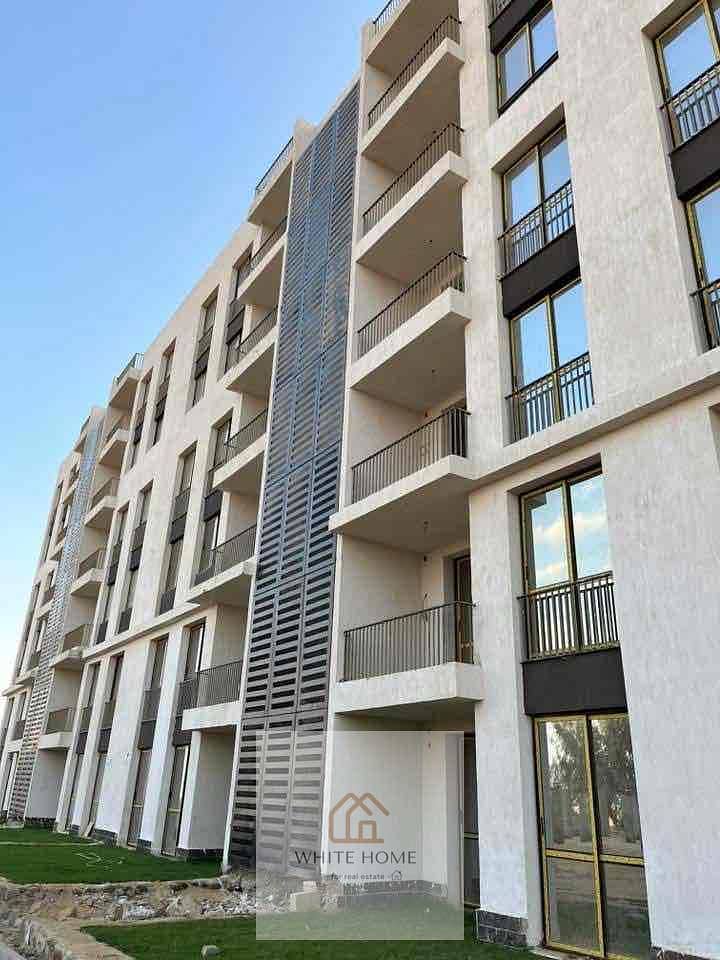 4 f9bdd2c3-7508-4f78-b2cc-b84142464530. jpg