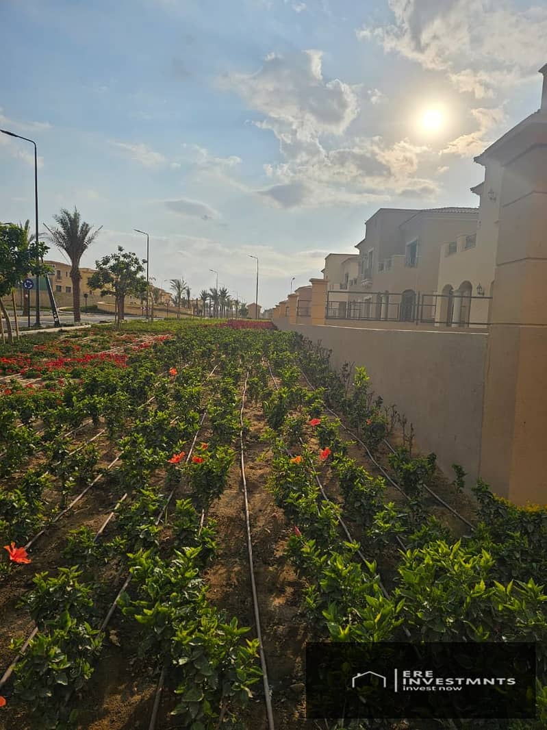 3 45db0034-1fc2-4f66-b633-6a94d2125173. jpg