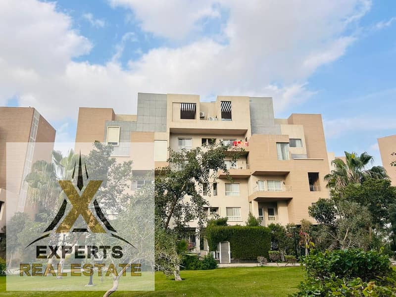 11 WhatsApp Image 2025-12-31 at 2.02. 29 PM (1). jpeg