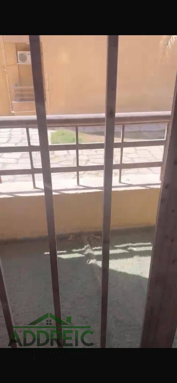 3 WhatsApp Image 2025-12-31 at 2.45. 48 PM (3). jpeg