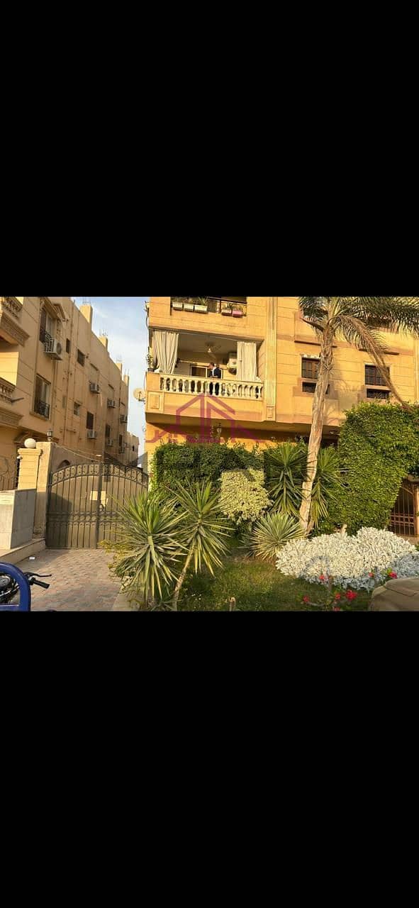 10 photo_5956372015054785441_y. jpg