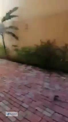 36 WhatsApp Image 2025-12-31 at 3.35. 05 PM (6). jpeg