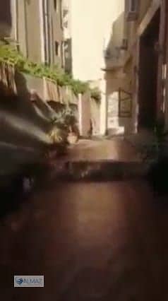 58 WhatsApp Image 2025-12-31 at 3.35. 09 PM. jpeg