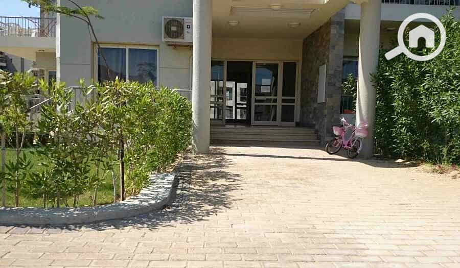 6 DSC_0045_resized_20170424_012958846. JPG