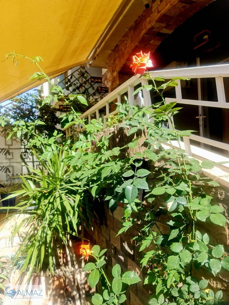 10 WhatsApp Image 2025-12-31 at 3.32. 37 PM (2). jpeg