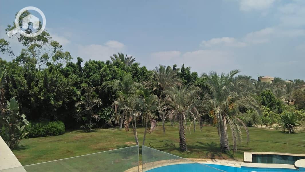 11 544f4f31-640d-4089-a5e4-c9ef61adc157. jpeg