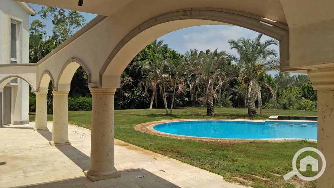 13 710edc98-6f25-4a52-a41e-8f7fec92913c. jpeg