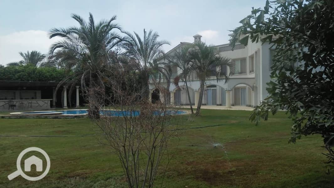 17 1261772a-f544-4724-ac73-e572ecfb9e86. jpeg