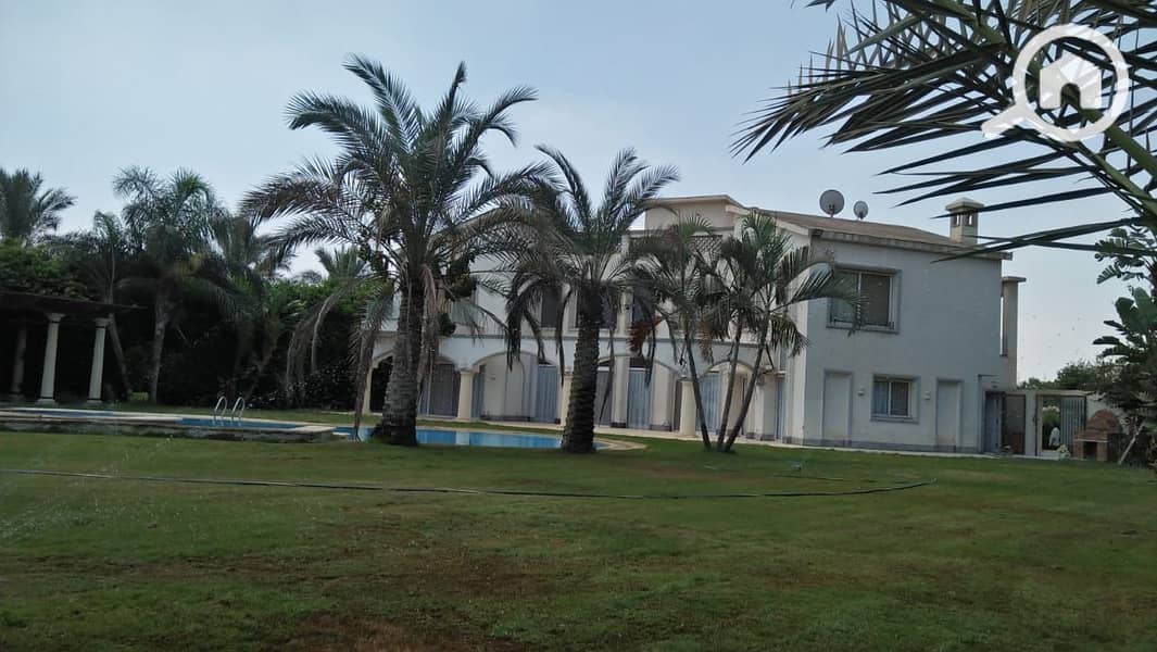 25 e56d4c85-84b5-4f7f-b2e6-7575e5d1a6b9. jpeg