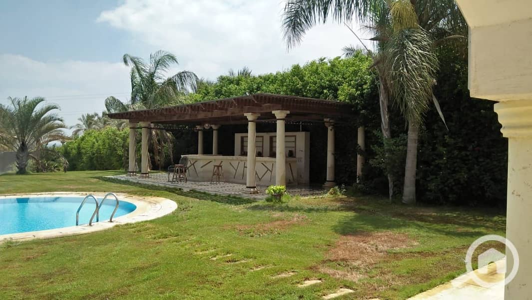 28 f7743a39-8d4d-475a-a78f-c77ba2095988. jpeg