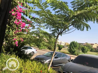 3 Bedroom Flat for Sale in New Cairo, Cairo - WhatsApp Image 2025-11-09 at 10.32. 51 AM(4). jpeg