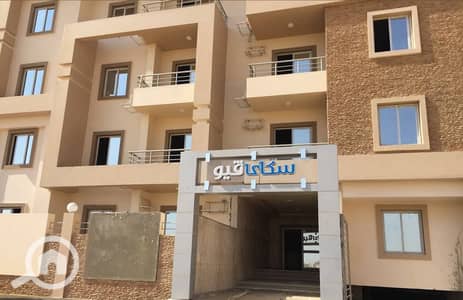 2 Bedroom Apartment for Rent in New Cairo, Cairo - WhatsApp Image 2025-12-18 at 2.57. 32 PM (1). jpeg