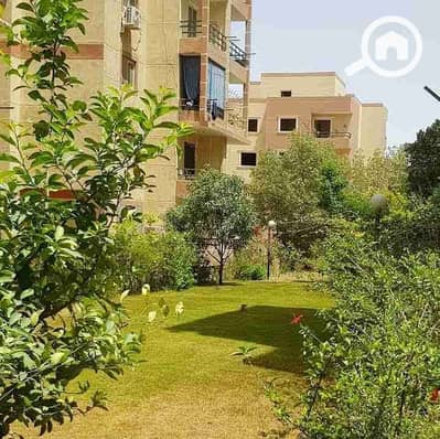 شقة 3 غرف نوم للايجار في حدائق اكتوبر، الجيزة - 1000131840. jpg