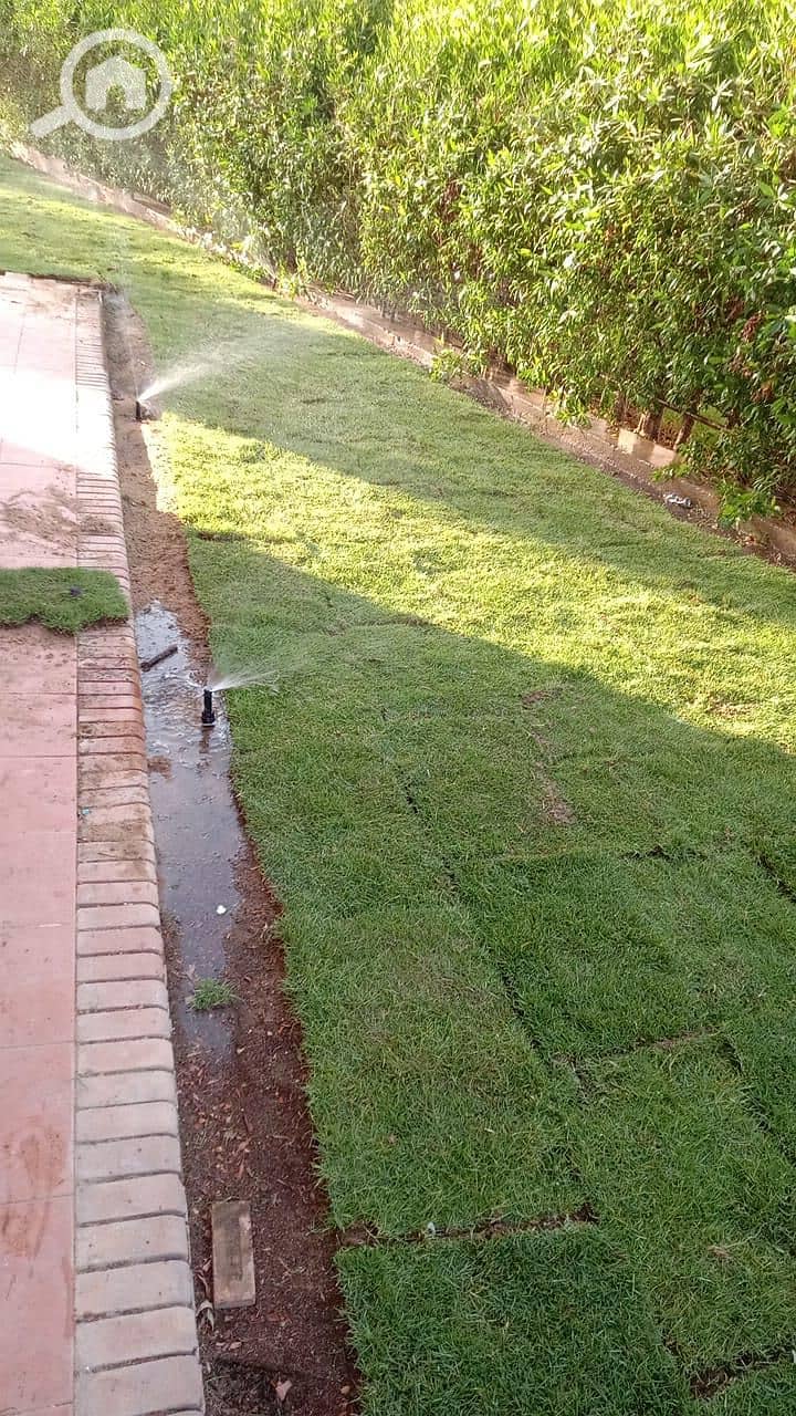 6 013dfd3e-753a-49d2-ae41-01787cb63486. jpeg