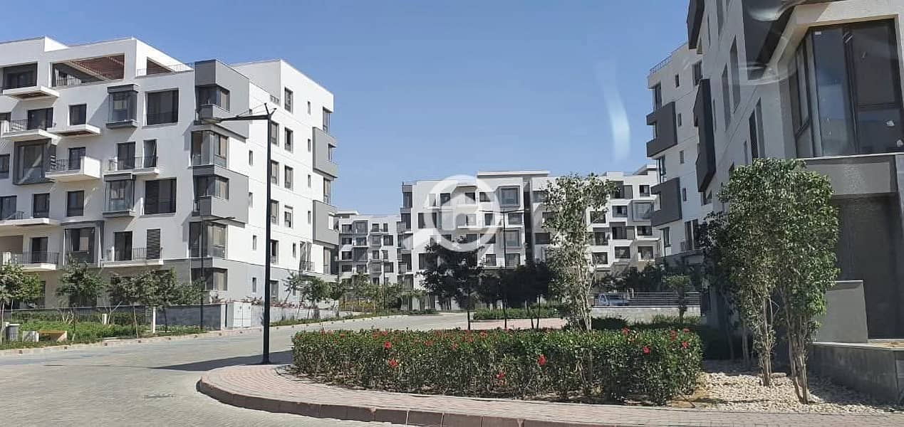 12 606056209_4168038723464521_1407523606808375425_n. jpg