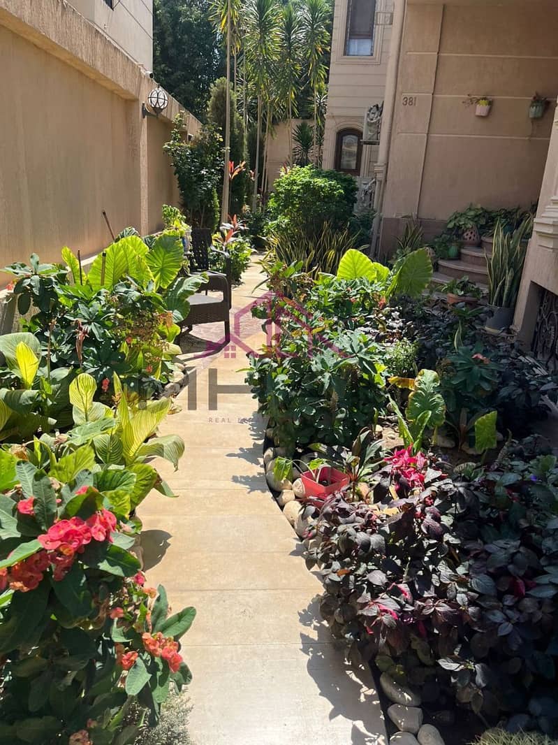 2 photo_5954096111884635370_y. jpg