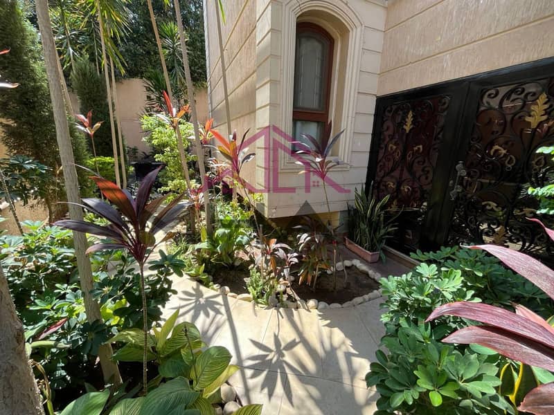 12 photo_5954096111884635379_y. jpg