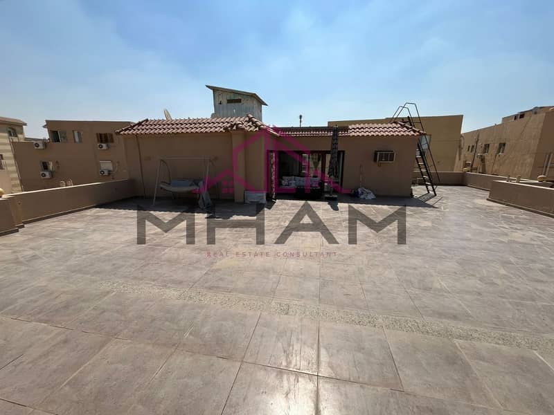 15 photo_5954096111884635383_y. jpg