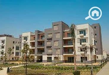 9 64f0a8649eddb734385301. jpg