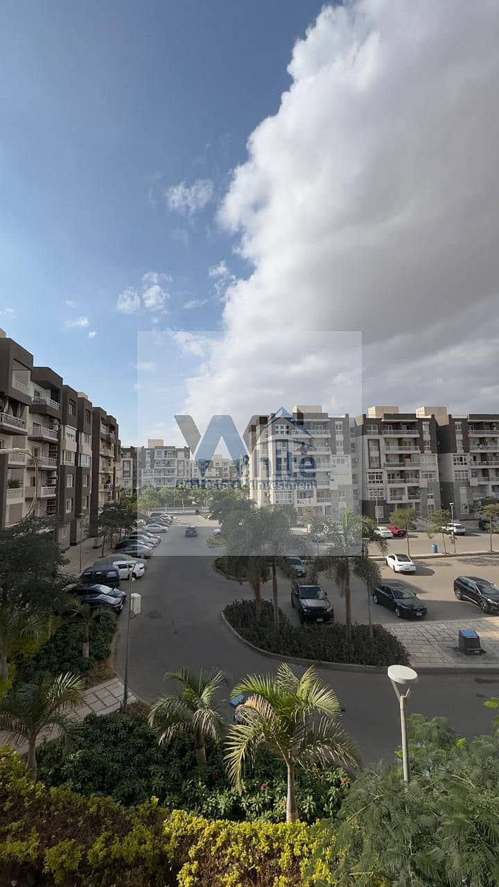 6 8a3d46d1-0953-4dc8-9690-edebd2eaa29d. jpeg