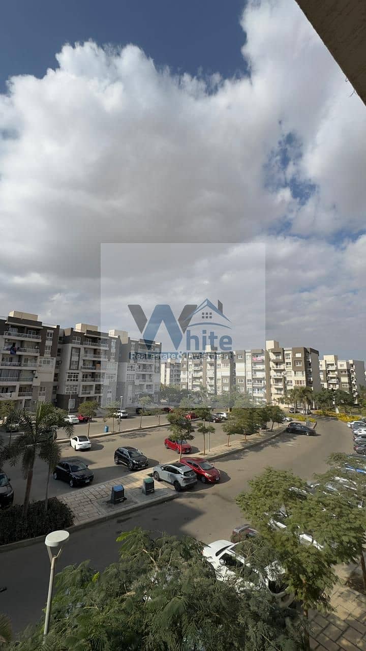 8 c3829798-3114-4c84-9306-49a82cec5ee4. jpeg