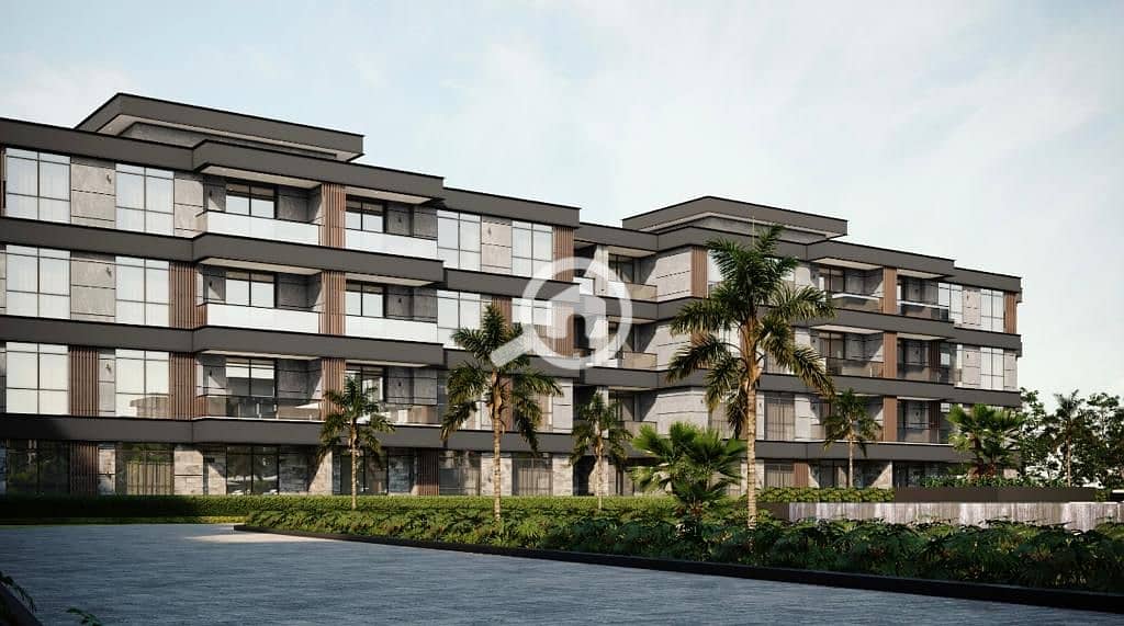 13 IMG-20251221-WA0079. jpg