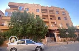 3 WhatsApp Image 2025-12-17 at 3.06. 48 PM. jpeg