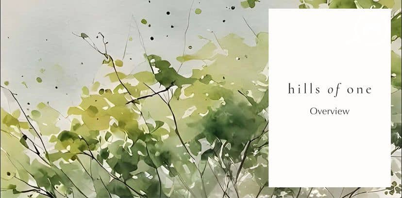 11 IMG-20251111-WA0082. jpg