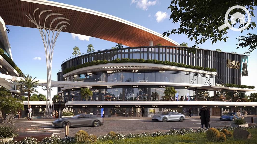 6 36b324b1-a1a5-46e0-a5f4-ea8ea8b32bf7. jpg