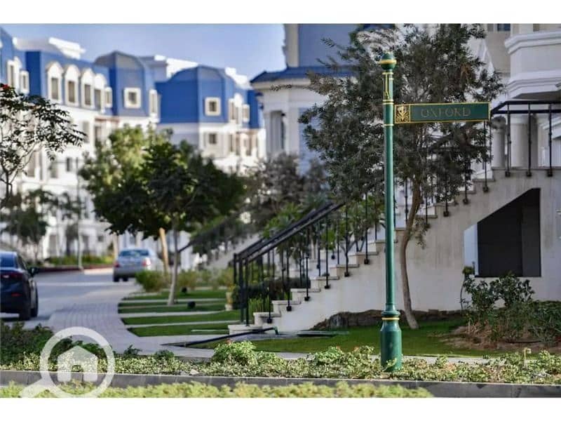 10 65690b94-eb75-47e3-929c-7563a1ed0074. jpeg