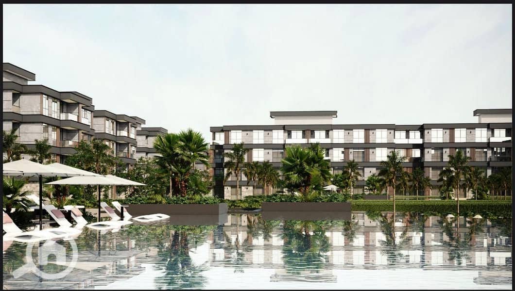 19 c4dc15b7-724c-4b16-9685-11ccef8c2939. jpg