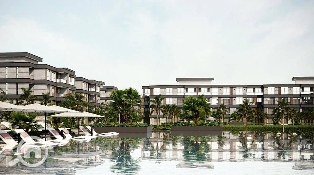 6 43c10c67-f361-4e25-8062-5e8305e2339c. jpg