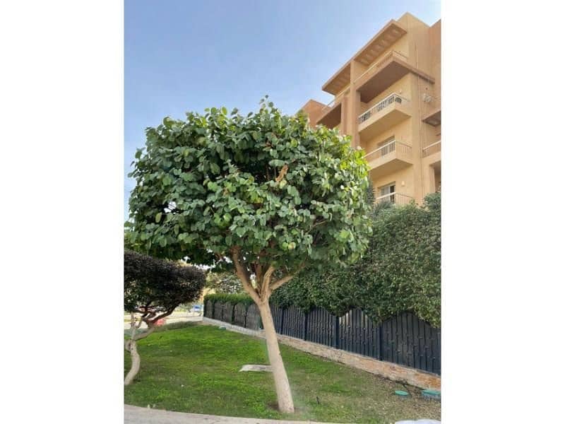 4 صورة واتساب بتاريخ 1446-10-08 في 13.13. 19_98f0f879. jpg