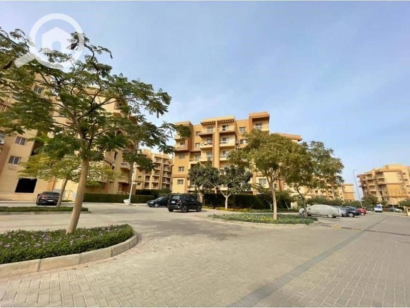 12 صورة واتساب بتاريخ 1446-10-08 في 13.13. 23_2a3ca4e2. jpg