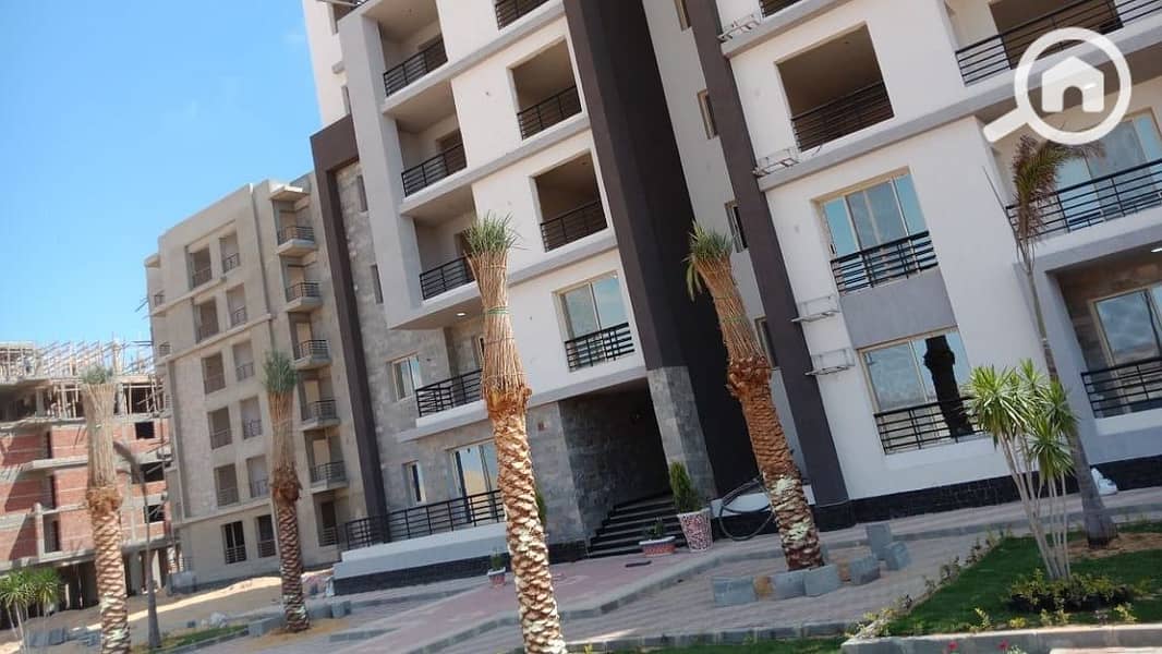 9 دار-مصر. jpg