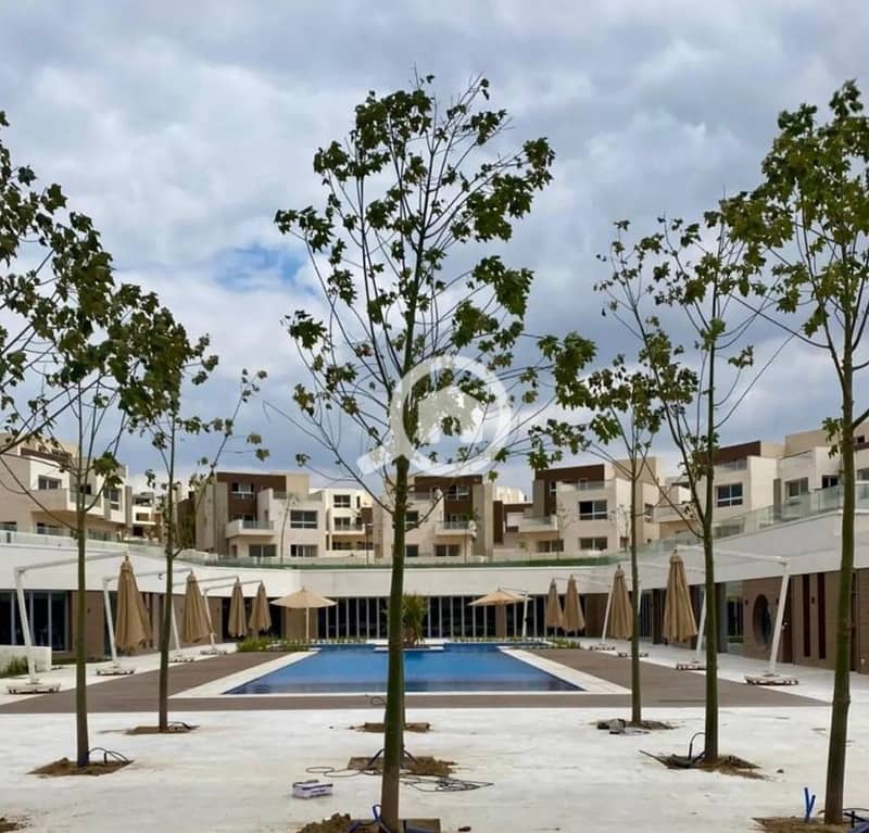 3 IMG_٢٠٢٥١٢١٠_١٧٠٨١٣_edit_267776895751121. jpg