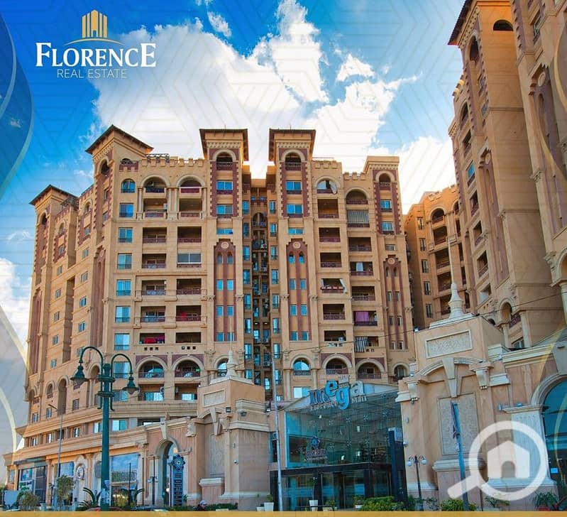 3 73ab753b-dbd3-43ee-957d-95436e6bfb04. jpg