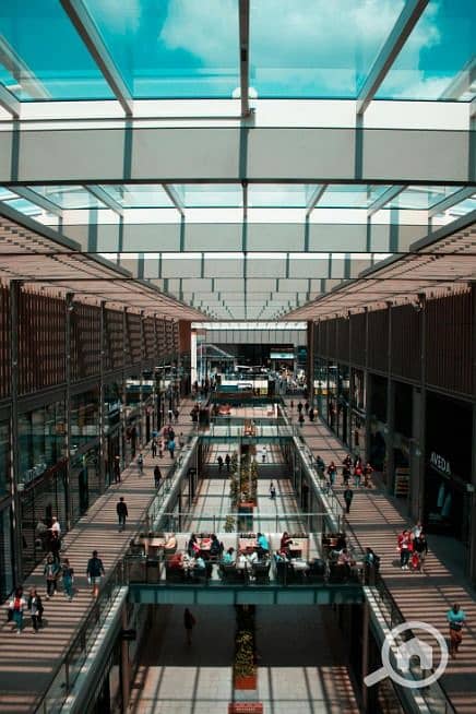 12 WhatsApp Image 2025-12-19 at 20.42. 51 (2). jpeg