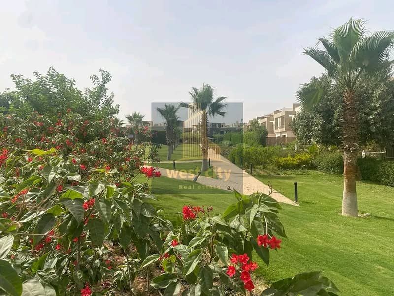 2 1767207694929. jpg